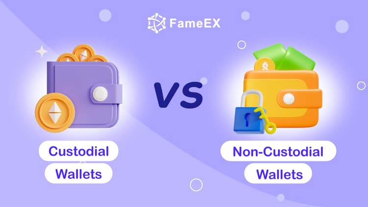 Custodial vs Non-custodial Crypto Wallet - What's the non custodial wallet?