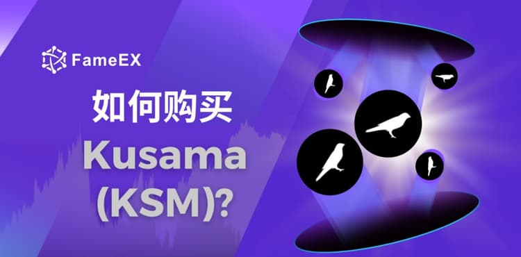 如何购买Kusama（KSM）- 入门指南