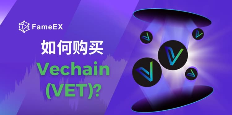 立即使用信用卡或借记卡购买Vechain (VET)