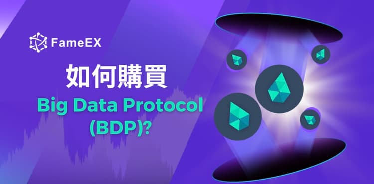 如何購買Big Data Protocol（BDP）-入門指南