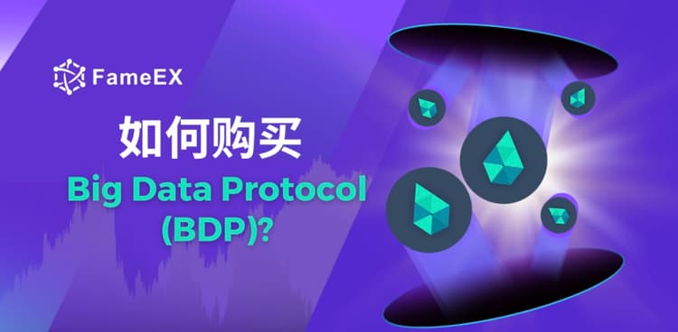 如何购买Big Data Protocol（BDP）- 入门指南