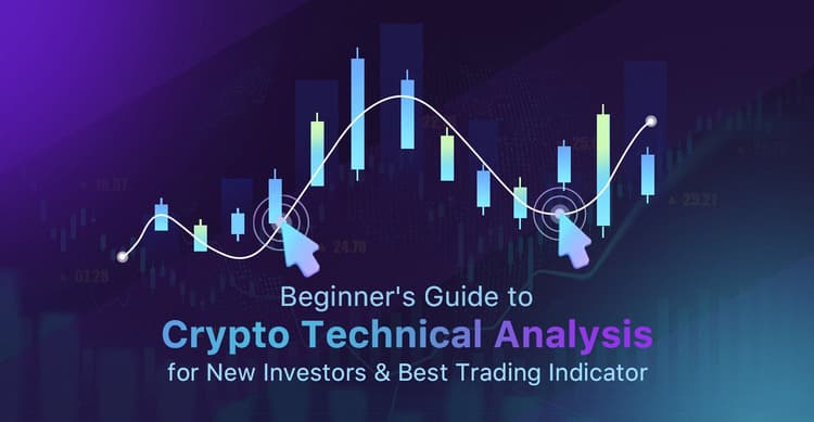 Beginner's Guide to Crypto Technical Analysis for New Investors and Best Trading Indicator