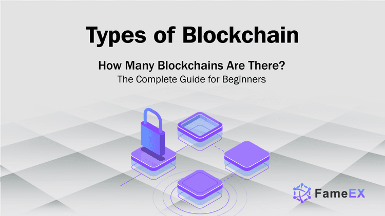 Types of Blockchain:  How Many Blockchains Are There? The Complete Guide for Beginners